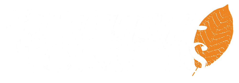 Kulttuuritoimitus_valk RGB 72